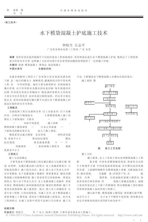 水下模袋混凝土护底施工技术_钟钦生