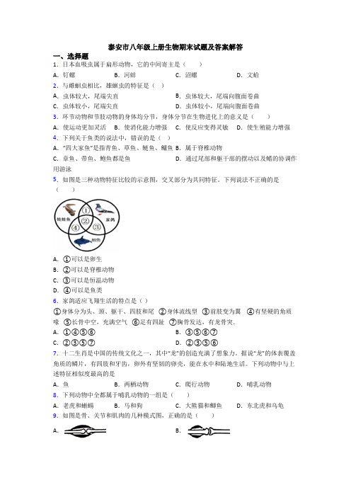 泰安市八年级上册生物期末试题及答案解答