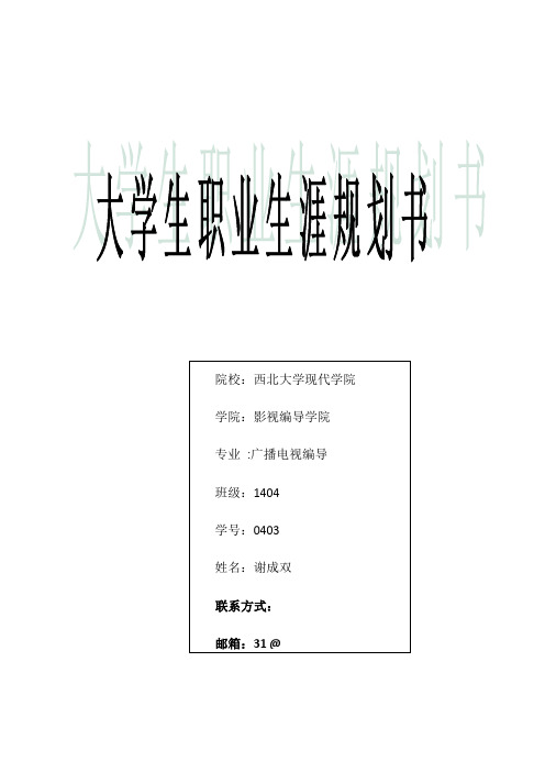 大学生职业生涯规划(影视剪辑师)