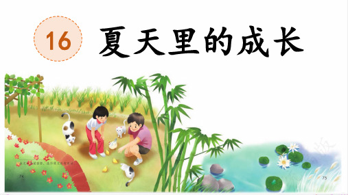 《夏天里的成长》ppt课件