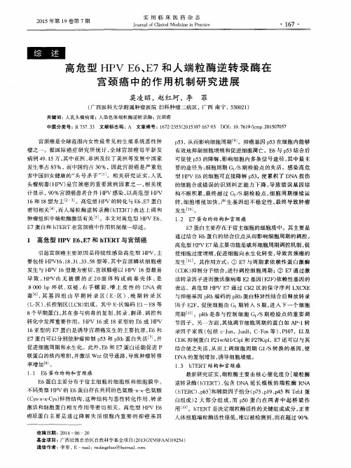 高危型HPV E6、E7和人端粒酶逆转录酶在宫颈癌中的作用机制研究进展