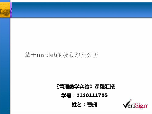 基于matlab的模糊聚类分析 ppt课件