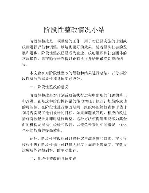 阶段性整改情况小结