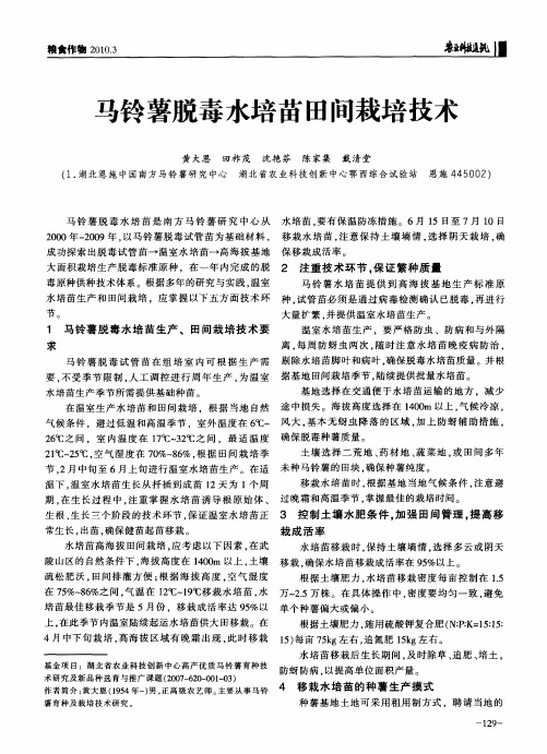 马铃薯脱毒水培苗田间栽培技术