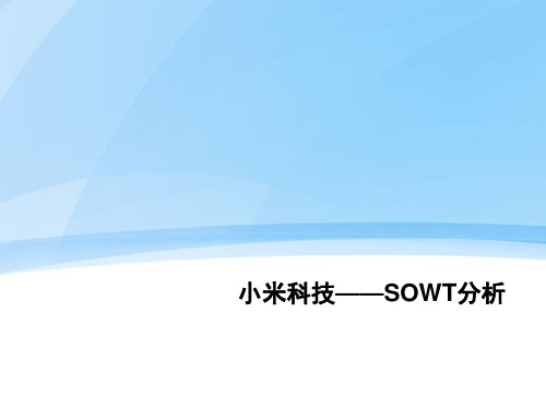 小米SWTO分析