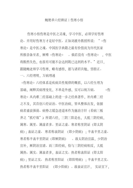 鲍艳举六经辨证丨伤寒小悟