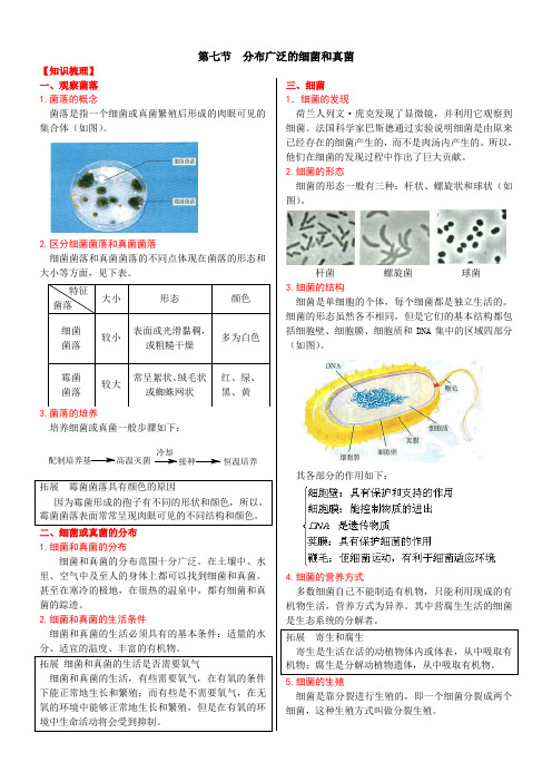 第七节  分布广泛的细菌和真菌