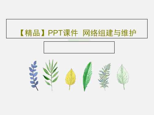 【精品】PPT课件  网络组建与维护23页文档