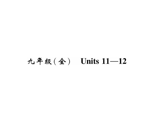 中考英语复习 9年级(全)Units11-12