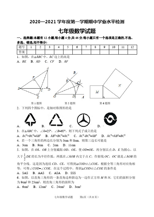 鲁教版初中数学七年级上册期中测试题