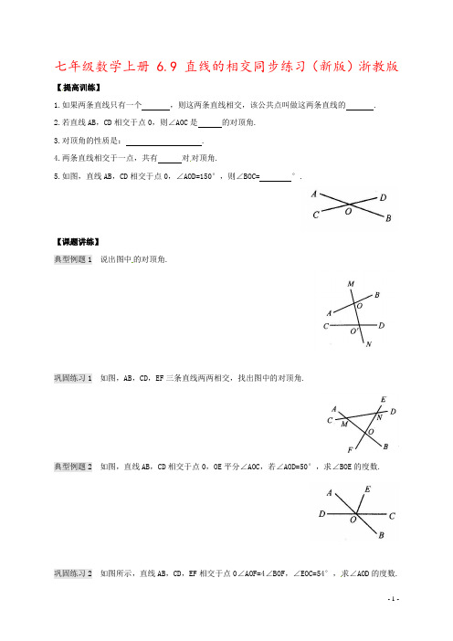 七年级数学上册 6.9 直线的相交同步练习(新版)浙教版