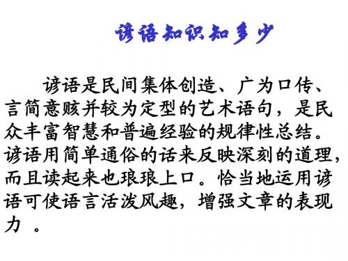 谚语知识及积累