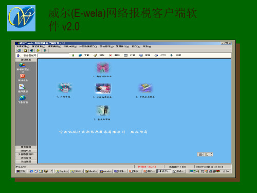 威尔(E-wela)网络报税客户端软件v20