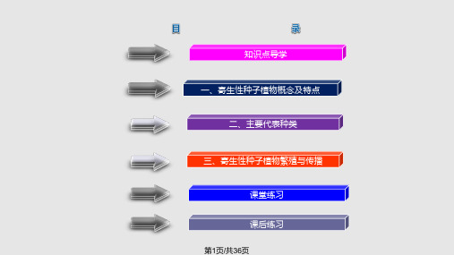 如菟丝子列当等PPT课件