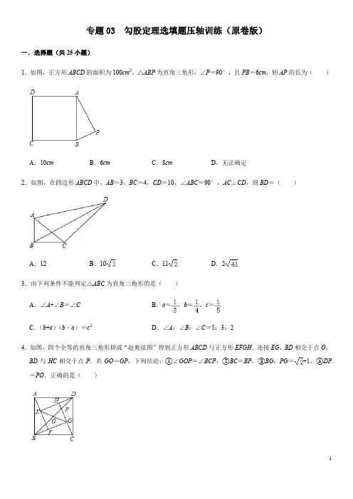 专题03 勾股定理选填题压轴训练(原卷版)八年级数学下学期期中考试压轴题专练(人教版)