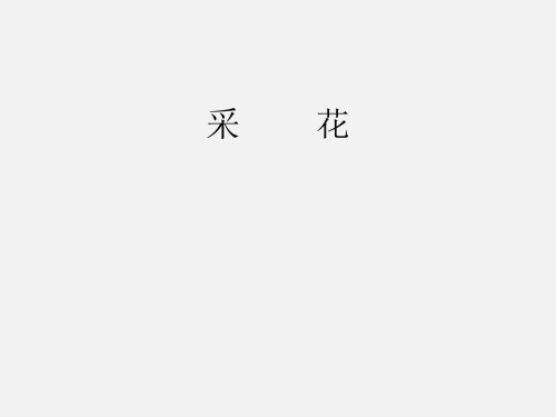 人教版(初中二年级)八年级音乐上册(简谱)采花_课件1