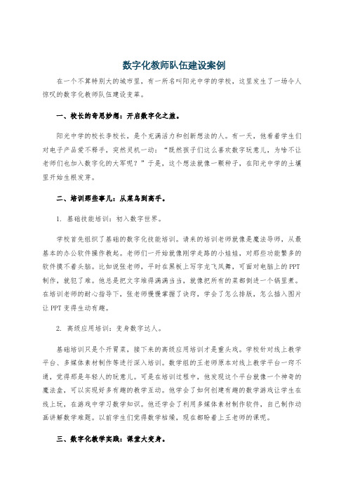 数字化教师队伍建设案例