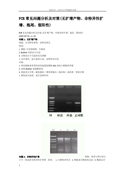 PCR常见问题分析及对策