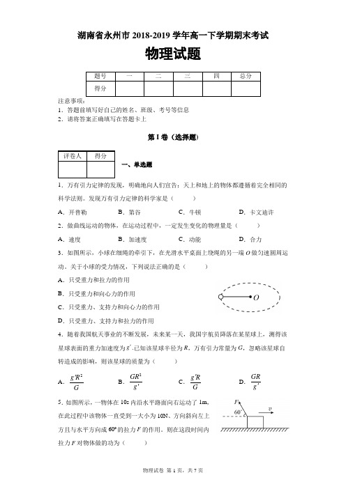 湖南省永州市2018-2019学年高一下学期期末考试物理试题及答案解析