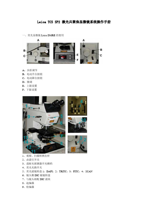 LeicaTCSSP2激光共聚焦显微镜系统操作手册