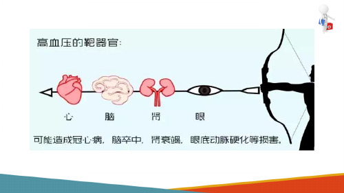 原发性高血压 高血压病理病生(内科学课件)