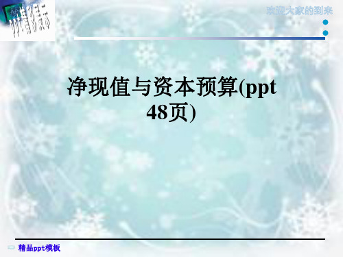 净现值与资本预算(ppt-48页)