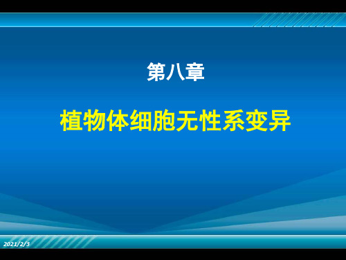 植物组织培养第八章植物体细胞无性系变异