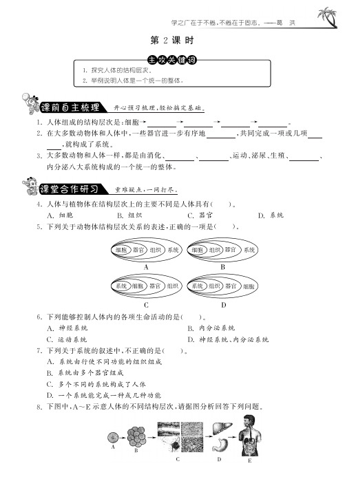 七年级生物下册 第四单元 第9章 第2节 人体和动物体的组成课课练(第2课时)(pdf) 苏科版