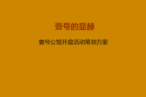 壹号公馆开盘活动策划方案XXXX0506