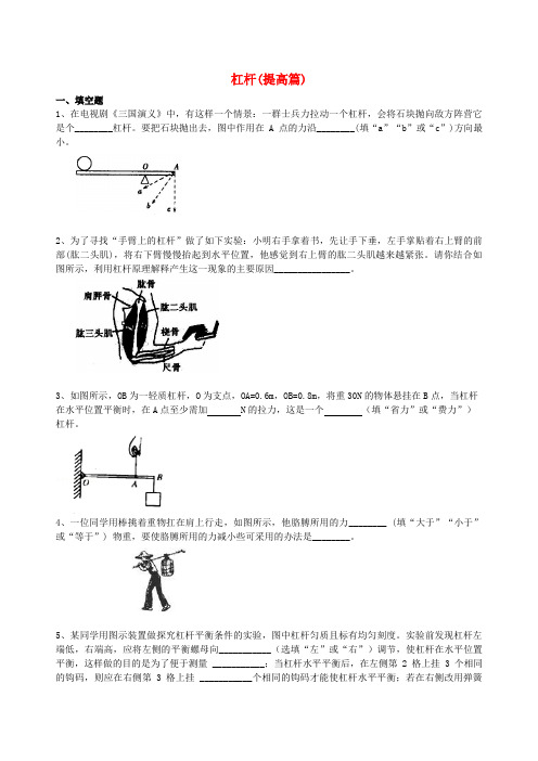 九年级物理上册杠杆同步习题测试提高篇新版苏科版