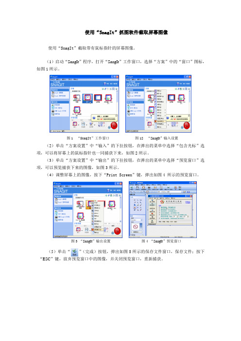 使用“SnagIt”抓图软件截取屏幕图像