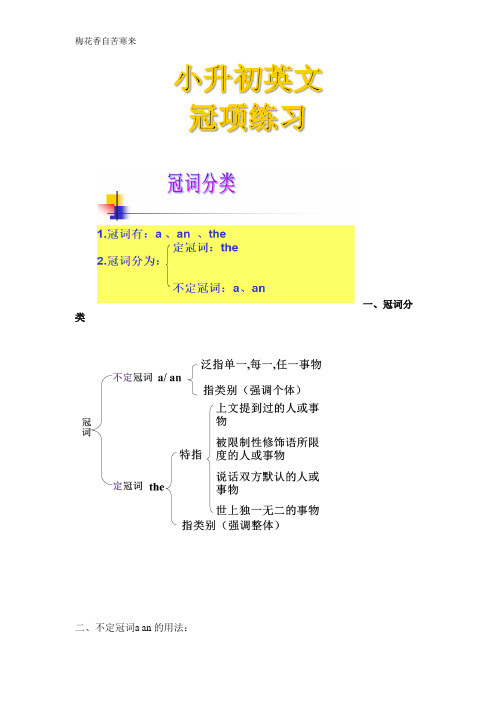 小升初冠词练习