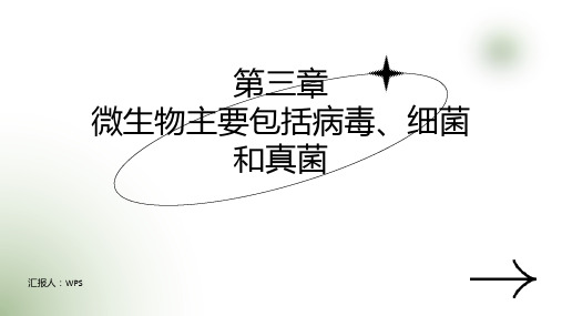 【2024新版本】济教七年级生物上册第二单元第三章第一节病毒是没有细胞结构的生物课件