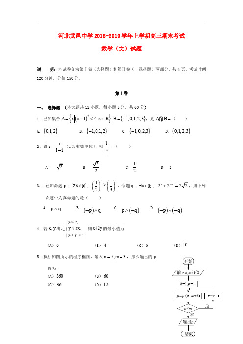 武邑中学2019届高三数学上学期期末考试试卷文