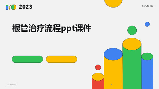 2024版根管治疗流程ppt课件