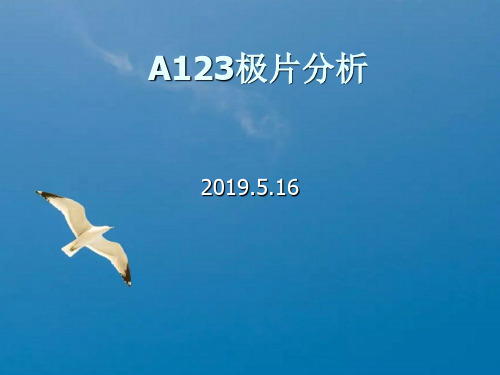 锂电池A123正极片分析ppt课件