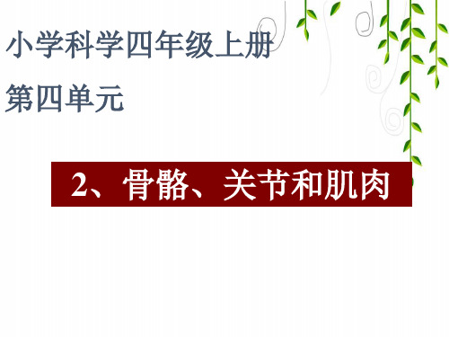 教科小学科学四上《4、骨骼、关节和肌肉》PPT课件(1)