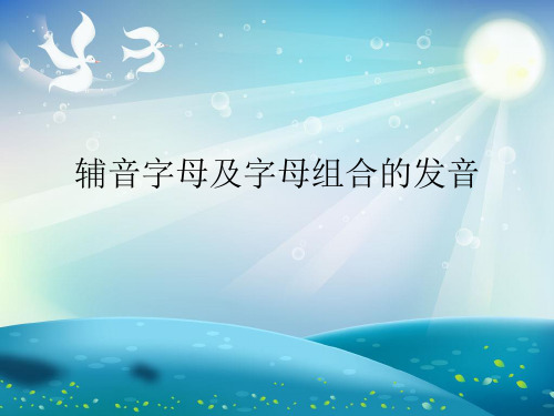 辅音字母及字母组合的发音演示文稿