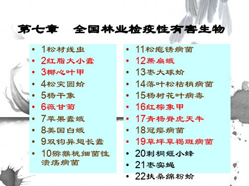 森林植物检疫-第7章全国林业检疫性有害生物