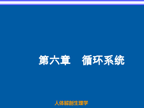 教育的生理学基础神经系统(3) (16)