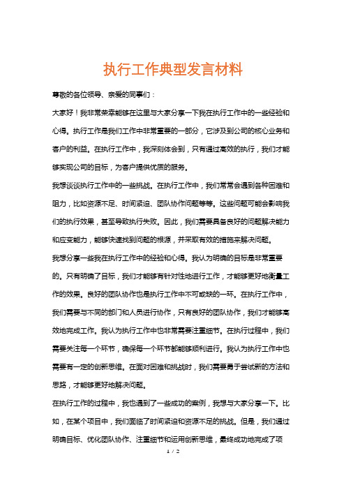 执行工作典型发言材料