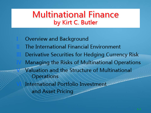 国际关系讲义AnIntroductiontoMultinationalFinance