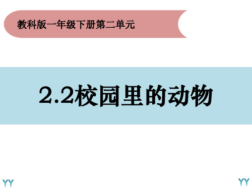 一年级下册科学《校园里的动物》教科版