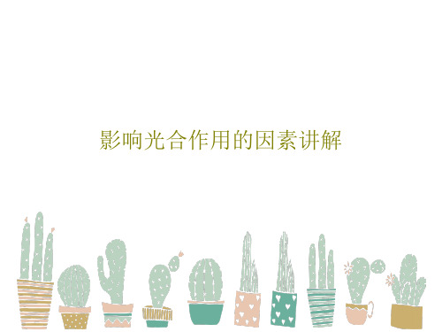 影响光合作用的因素讲解25页PPT
