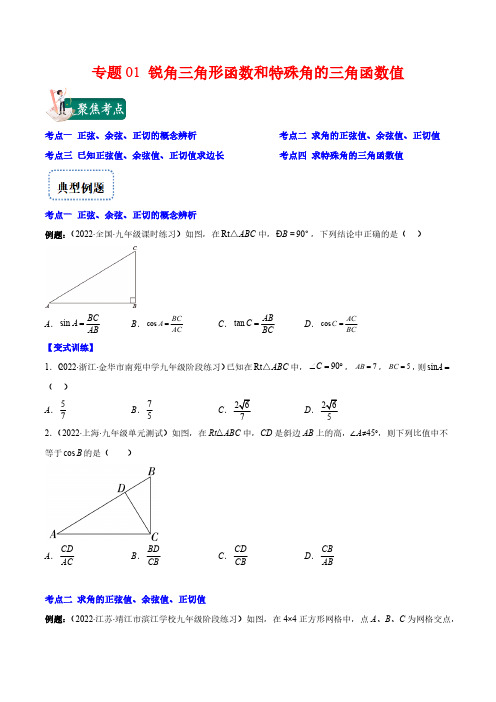 专题01 锐角三角形函数和特殊角的三角函数值(原卷版)(重点突围)
