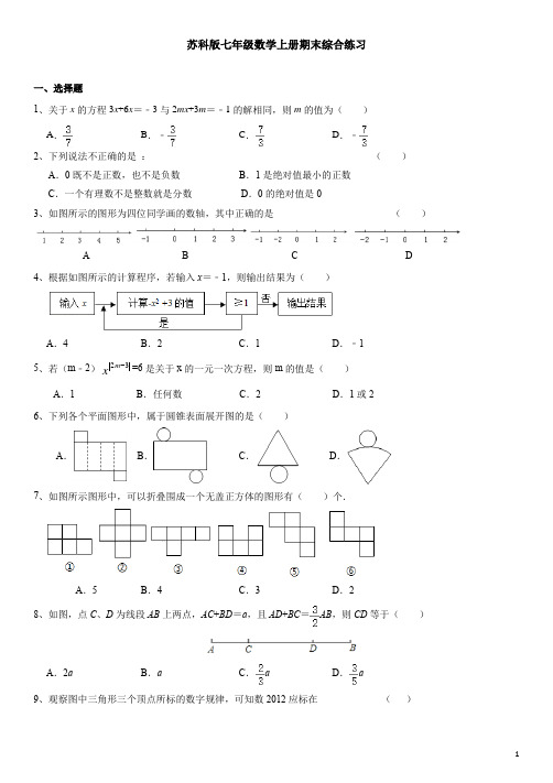 苏科版七年级数学上册期末综合练习