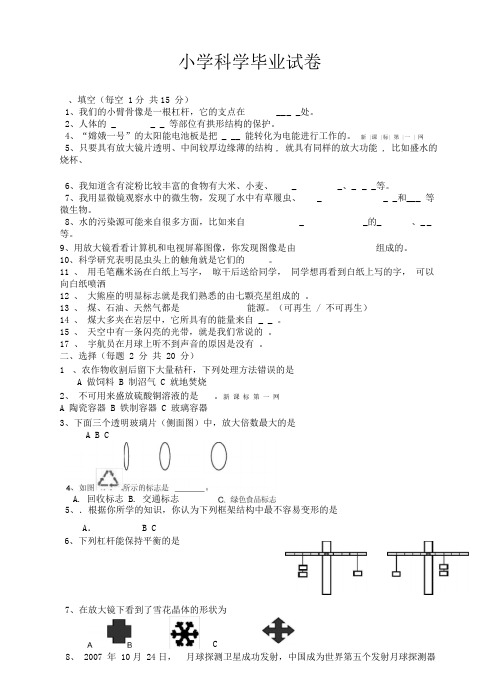 教科版小学科学毕业考试题及答案