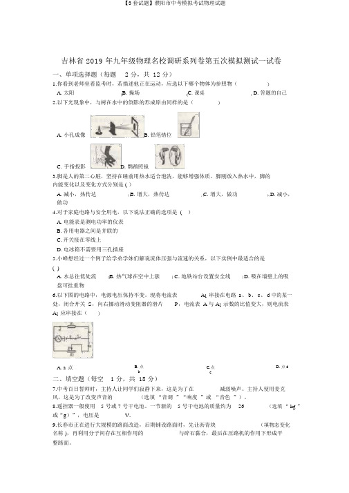 【3套试题】濮阳市中考模拟考试物理试题