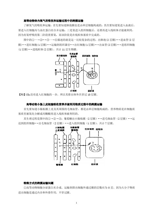 跨膜运输计算