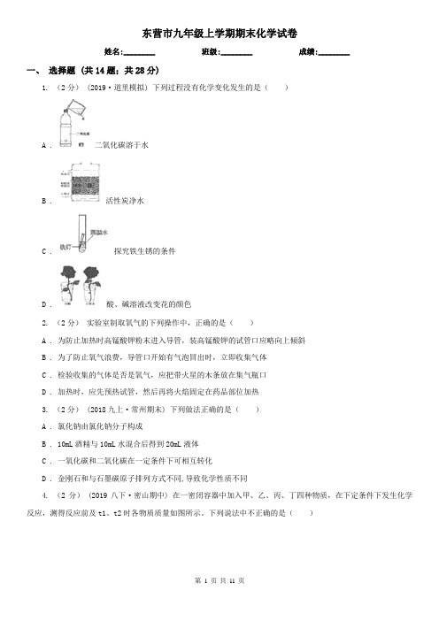 东营市九年级上学期期末化学试卷